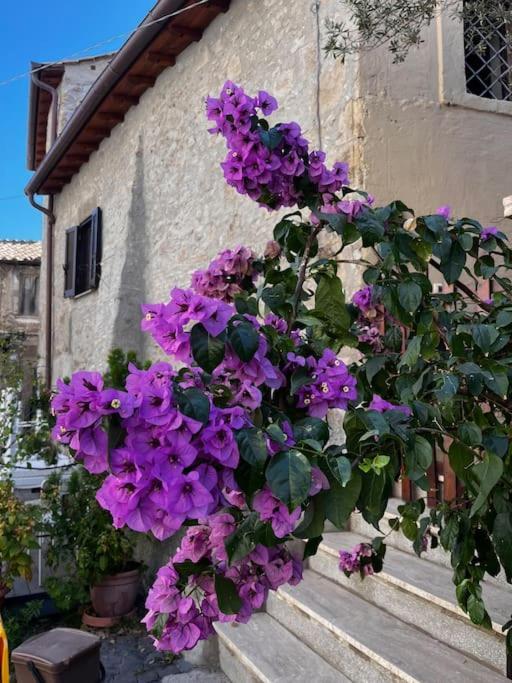 Appartamento Adelaide Al Borgo. Castelnuovo Di Porto Esterno foto